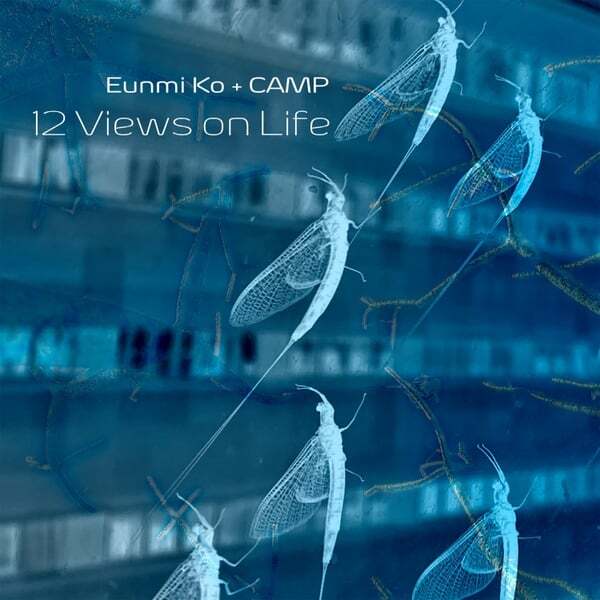 Cover art for 12 Views on Life